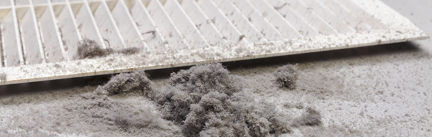 Dust collected from the air duct filter.