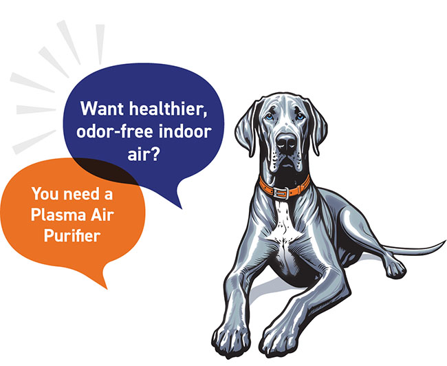 Want healthier, odor-free indoor air? You need a Plasma Air Purifier!
